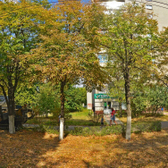 Гемотест на 8 марта