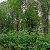 Городская больница №10