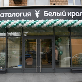 Белый кролик на Савеловской