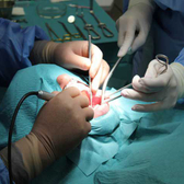 Клиника доктора Орлова