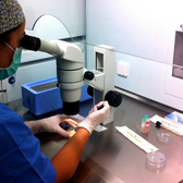 Орхидея плюс