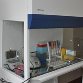 НИИ медицины труда имени академика Н.Ф. Измерова