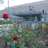 Стоматологическое отделение №1 (ГАУЗ ООКСП)