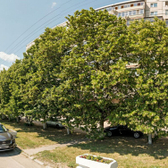 Стоматологическая поликлиника №6 на Кирова