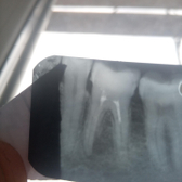 АрмСтом, Стоматологическая клиника