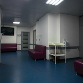 Гименей на Блюхера