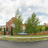 Дентариз на Ефремова