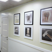 Dental-Studio на Аллилуева