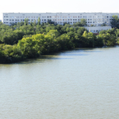 Клиническая больница скорой медицинской помощи № 15