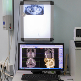 Арт-Лион на Менделеева