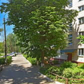 Санатест на Металлургов