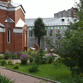 Стоматология без боли