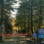 Онкологический диспансер №2