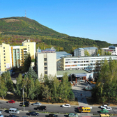 Санаторий «Ореховая роща»