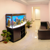 Стоматологический центр «Стомус»