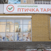 Птичка Тари, стоматология