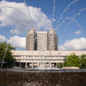 НИИ клинической онкологии НМИЦ онкологии им. Н.Н. Блохина