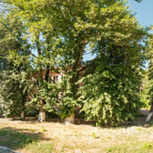 Стоматологический кабинет «Леди Клиник»