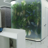 Dental Art Gallery, Авторская стоматология доктора Муссурова