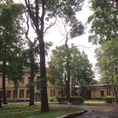 Клиника и кафедра термических поражений Военно-Медицинской Академии