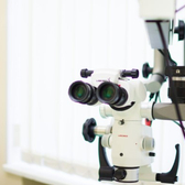 Вероника на Васильевском острове