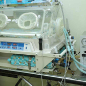 Роддом №17 (филиал ГКБ им. В.В.Вересаева)