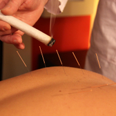 Сад Долголетия