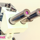 Клинико-диагностическая лаборатория «Лорак»