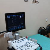 Женская консультация МСЧ № 2