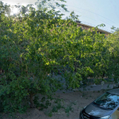 Стоматологический кабинет «Дентал»