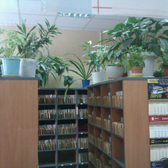 Стоматологическая поликлиника