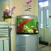 Клиника Новый Век на Просвещения