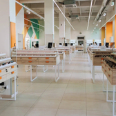 Счастливый взгляд на Лиговском 52