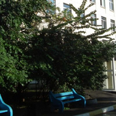 Дегунино, хоспис