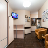 Эль Дента на Академика Королева