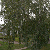 Детская поликлиника №2 на Водопроводной