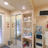 Пломбир, стоматологическая клиника