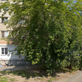 Детская поликлиника №1 на Никитина