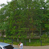 Противотуберкулезный диспансер на Сибирском тракте