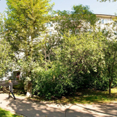 Детская поликлиника №2 на Западной