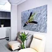 Клиника «Еврокосметклиник»