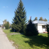 Городская инфекционная больница № 9