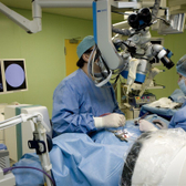 Клиника Бобыря