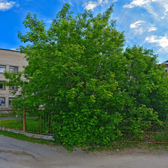 Детская поликлиника на Парковой