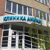 Анима на Кирова