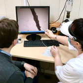 Лаборатория Ан-Тек, Трихологическая клиника