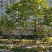 Стоматологическая клиника «Генциана Дент»