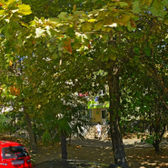 Инвитро на Голубые Дали