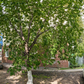 Поликлиника №2 на Гагарина