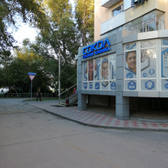 Сокол на Морской